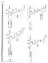 Fig. 10 - Amino acid conjugates providing for sustained systemic concentrations of GABA analogues