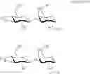 Fig. 19 - Steroid modified solatrioses