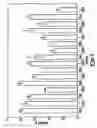 Fig. 02 - Compositions and methods for the modulation of the expression of B7 protein