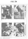 Fig. 10 - Method for controlling SR protein phosphorylation, and antiviral agents whose active ingredients comprise agents that control SR protein activity