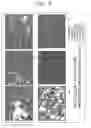 Fig. 12 - Method for controlling SR protein phosphorylation, and antiviral agents whose active ingredients comprise agents that control SR protein activity
