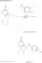 Fig. 58 - Method for controlling SR protein phosphorylation, and antiviral agents whose active ingredients comprise agents that control SR protein activity