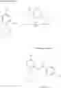 Fig. 60 - Method for controlling SR protein phosphorylation, and antiviral agents whose active ingredients comprise agents that control SR protein activity