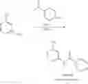Fig. 71 - Method for controlling SR protein phosphorylation, and antiviral agents whose active ingredients comprise agents that control SR protein activity
