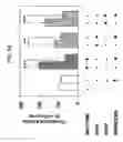 Fig. 09 - Methods of modulating angiogenesis and screening compounds for activity in modulating angiogenesis