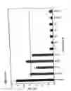 Fig. 12 - Antisense IAP nucleobase oligomers and uses thereof