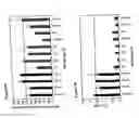 Fig. 13 - Antisense IAP nucleobase oligomers and uses thereof
