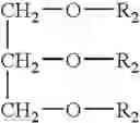 Fig. 04 - METHOD TO REDUCE OXIDATIVE DAMAGE AND IMPROVE MITOCHONDRIAL EFFICIENCY
