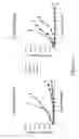 Fig. 05 - Cyclic nitro compounds, pharmaceutical compositions thereof and uses thereof