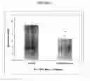 Fig. 07 - Modulation of neurodegenerative diseases