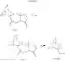 Fig. 07 - Bicyclic Indolyl Derivatives and Methods for Their Use as Serotonergic Agents
