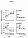 Fig. 06 - Utilization of vinpocetine to avoid complications in particular those associated to hearing which occur with epilepsy, and treatment thereof