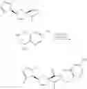 Fig. 13 - CCR-2 antagonist salt