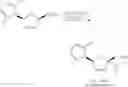 Fig. 19 - CCR-2 antagonist salt