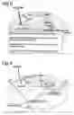 Fig. 03 - Use of a deoxynojirimycin derivative or a pharmaceutically salt thereof