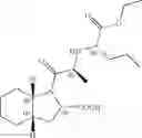 Fig. 02 - Crystalline forms of perindopril erbumine