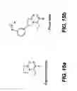 Fig. 17 - Methods for the identification of agents for the treatment of seizures, neurological diseases, endocrinopathies and hormonal diseases