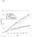 Fig. 02 - Agent for Preventing Metabolic Syndrome