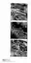 Fig. 03 - Porous material and method of production thereof