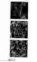 Fig. 06 - Porous material and method of production thereof