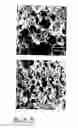 Fig. 07 - Porous material and method of production thereof