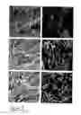 Fig. 09 - Porous material and method of production thereof