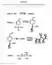 Fig. 17 - Synthesis and use of well-defined, highly-branched saturated hydrocarbon polymers