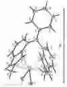 Fig. 02 - Heteroatom bridged metallocene compounds for olefin polymerization