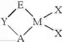 Fig. 303 - Heteroatom bridged metallocene compounds for olefin polymerization