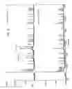 Fig. 03 - Peptide epitopes recognized by disease promoting CD4+ T lymphocytes