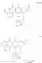 Fig. 03 - Method for preparing 4-demethyldaunorubicin