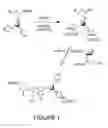 Fig. 02 - Activator bound solid supports for nucleic acid synthesis via the phosphoramidite approach