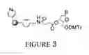 Fig. 04 - Activator bound solid supports for nucleic acid synthesis via the phosphoramidite approach