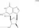 Fig. 16 - α-1-phosphorylated-2-deoxy-2-fluoroarabinoside and process for producing 2′-deoxy-2′-fluoro-β-d-arabinonucleoside