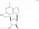 Fig. 19 - α-1-phosphorylated-2-deoxy-2-fluoroarabinoside and process for producing 2′-deoxy-2′-fluoro-β-d-arabinonucleoside
