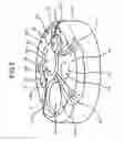 Fig. 06 - Endoscope and front cover