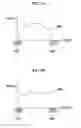 Fig. 06 - Method and medium for synchronizing vital signal data received from plural measuring apparatuses and system of enabling the method