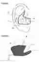 Fig. 63 - Organism information detection device and sphygmomanometer