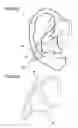 Fig. 65 - Organism information detection device and sphygmomanometer