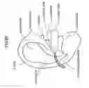 Fig. 85 - Organism information detection device and sphygmomanometer