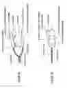 Fig. 87 - Organism information detection device and sphygmomanometer