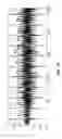Fig. 07 - Systems and methods for detecting or validating signals in the presence of noise