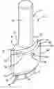 Fig. 01 - Dermal incisor