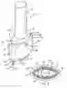Fig. 02 - Dermal incisor