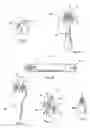 Fig. 05 - Massage device including at least two rotary annular lips and method using same