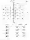 Fig. 27 - Method and apparatus for skin absorption enhancement and transdermal drug delivery