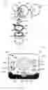 Fig. 06 - Breast pump