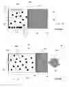 Fig. 05 - Remote control of osmotic pump device