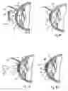 Fig. 06 - Device and method for reshaping the cornea