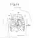 Fig. 37 - Method for ablating cardiac tissue